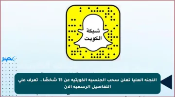 اللجنة العليا تعلن سحب الجنسية الكويتية عن 15 شخصًا.. تعرف على التفاصيل الرسمية الآن